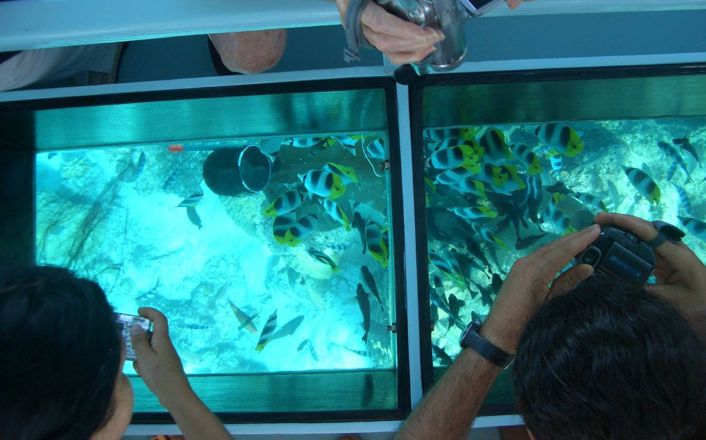 Glass Bottomed Boat Lakshadweep Voyage